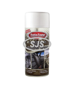 Autozone SS Polish